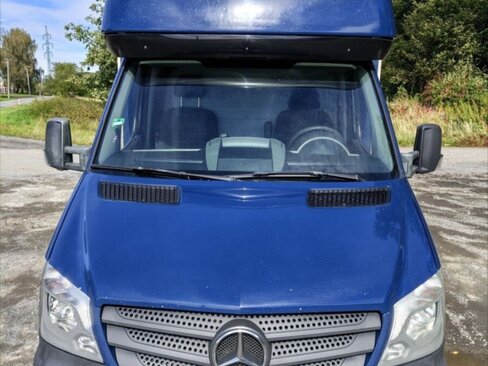 Mercedes-Benz Sprinter Ostatní 0,0 0