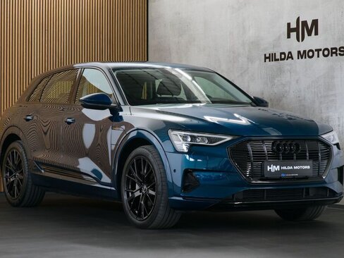 Audi e-tron SUV / Terénní 0,0 300 kw