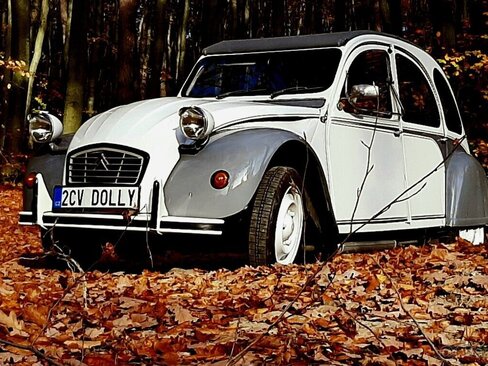 Citroën 2CV Hatchback 0,0 0