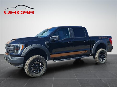 Ford F-150 Pick-up 5,0 l 294 kw