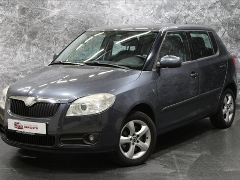 Škoda Fabia Hatchback 1,9 l 77 kw