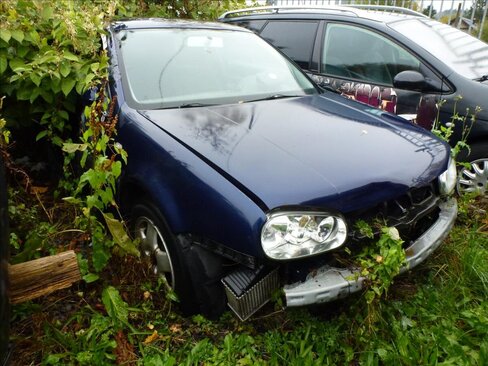Volkswagen Golf Hatchback 1,9 l 74 kw