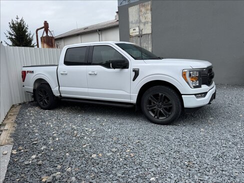 Ford F-150 Pick-up 5,0 l 298 kw
