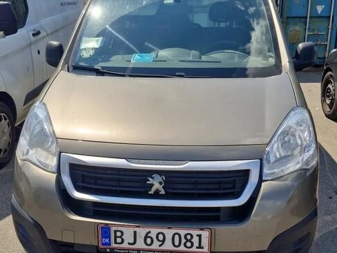 Peugeot Partner Tepee Ostatní 1,6 l 73 kw